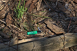 Bernhard Saalfeld - DSC01532 -1